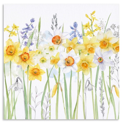 Daffodil Floral Greeting Card